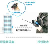 警犬搜捕侦察（作战）指挥系统